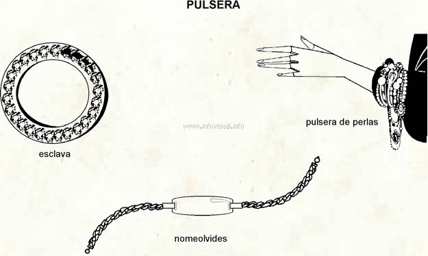 Pulsera (Diccionario visual)